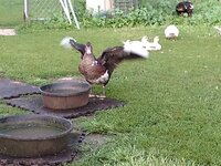 IMG_20190731_201602106_BURST000_COVER_TOP.jpg IMG_20190731_201602106_BURST000_COVER_TOP.jpg