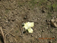 DSCN9889.JPG