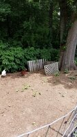 20190803_115935.jpg