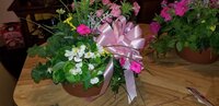 20190512_171611.jpg