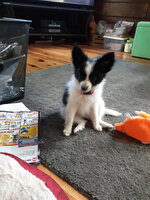 20190630_130112.jpg