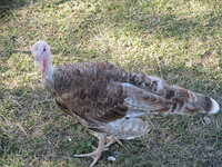 IMG_0041.JPG