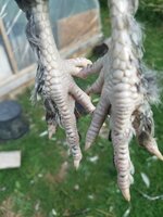 20190804_193848.jpg