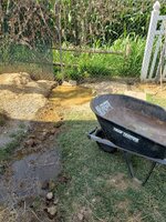 20190802_164928.jpg
