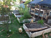 IMG_20190808_073714563.jpg