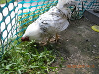 DSCN9895.JPG