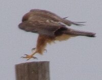 100_1276.jpg
