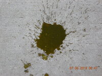 DSCN9898.JPG
