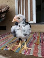 20190809_081510.jpg