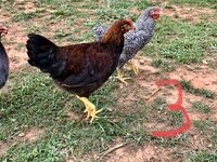A5587476-A079-4E69-879D-AB073C12AB0D.jpeg