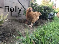 6E11D736-08C4-43B9-8E3E-E2FC74396F07.jpeg