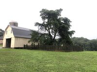 EAFF4314-93E3-46E5-9577-A6A3CF5C5042.jpeg