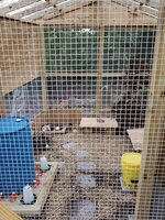 Quail Aviary_View From Outside Front.jpg