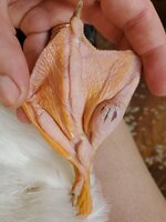 20190813_114632.jpg