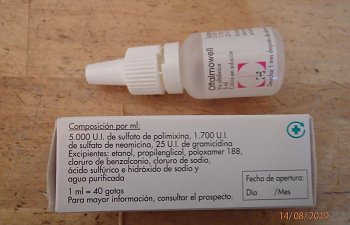 P8141711.jpg