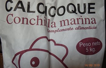 P8141730.jpg