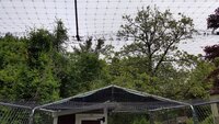 20190529_092900.jpg