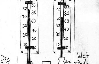 hygrometer incubation.JPG