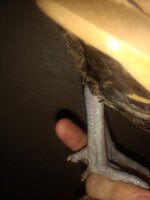 IMG_20190816_082506603.jpg