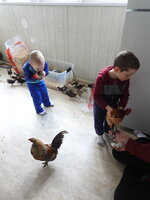 DSCN6309.JPG