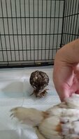 VideoCapture_20190816-173902.jpg