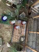 39D46A67-717E-408C-8A71-920151E8E0FD.jpeg