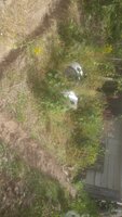 20190818_152205.jpg