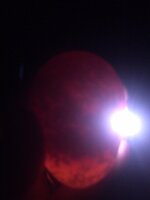 Egg 10b.JPG
