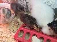 20190820_185215.jpg 20190820_185215.jpg
