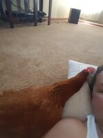 20190726_163410.jpg