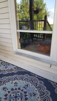 20190722_175942.jpg