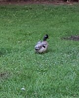 20190822_091754.jpg
