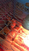 20190823_134941.jpg