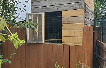 20190824_093313.jpg