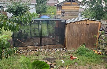 20190824_093409.jpg