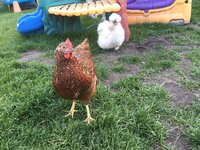 2EFE3998-B925-44B8-B7AA-AEA264E843FE.jpeg