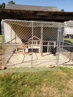 20190826_104834.jpg