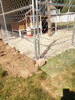 20190826_104956.jpg
