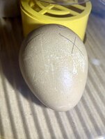 C39A5983-C1C1-4986-B361-D556180E9545.jpeg