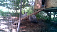 IMG_20190825_133156.jpg