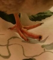 20190721_214704-1-1.jpg