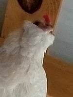 20190801_192830.jpg