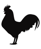 ChickenShirtRoo.png