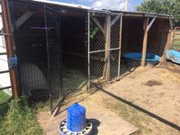 duck coop.JPG