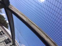 chicken run roof.JPG