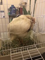 IMG_0725.JPG IMG_0725.JPG