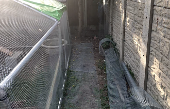 upload_2019-9-3_20-26-51.png