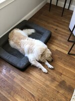 8512E829-6790-4F61-B027-6B1AEBBA0067.jpeg