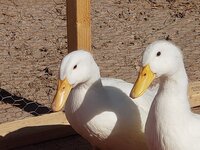 20190904_153630(0).jpg