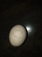 IMG_20190906_095742.jpg